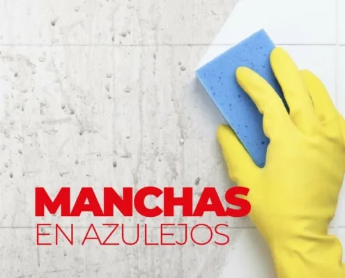 Imagen de QUITA LAS MANCHAS DE LOS AZULEJOS