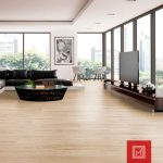duela-kauri-pino-ambiente