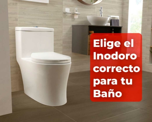 elige-el-inodoro-correcto-para-tu-bano