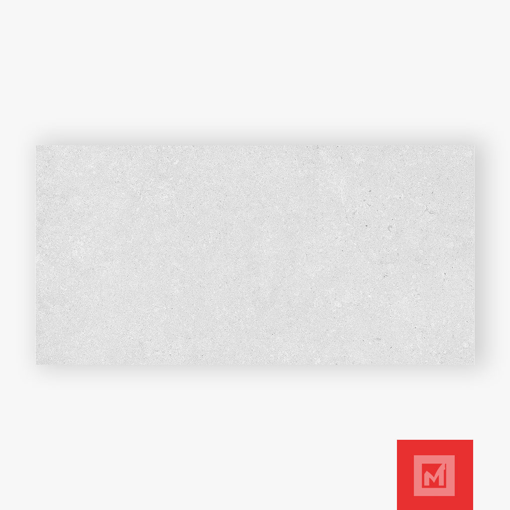 Imagen de PORCELANATO MS CEMENTO EVEREST FD GRIS 59.3X119 GA 2