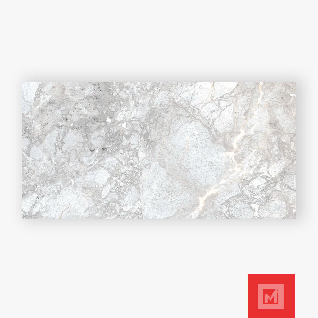 Imagen de Porcelanato Pisani gris 2